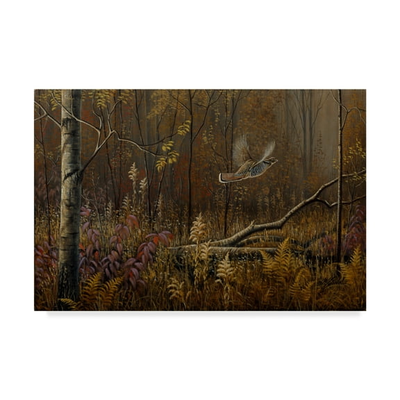 Trademark Fine Art 'Into The Open Ruffed Grouse' Canvas Art by Wilhelm Goebel