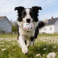 thumbnail image 2 of Material Interactive Puppy for Training and Play Standard Size for Medium and Small (3 Size), 2 of 3
