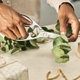 thumbnail image 5 of ZWILLING TWIN Select Stainless Steel Kitchen Shears, 5 of 8