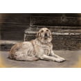thumbnail image 2 of Harrison, Lesley 14x11 White Modern Wood Framed Museum Art Print Titled - The Red Leash, 2 of 4