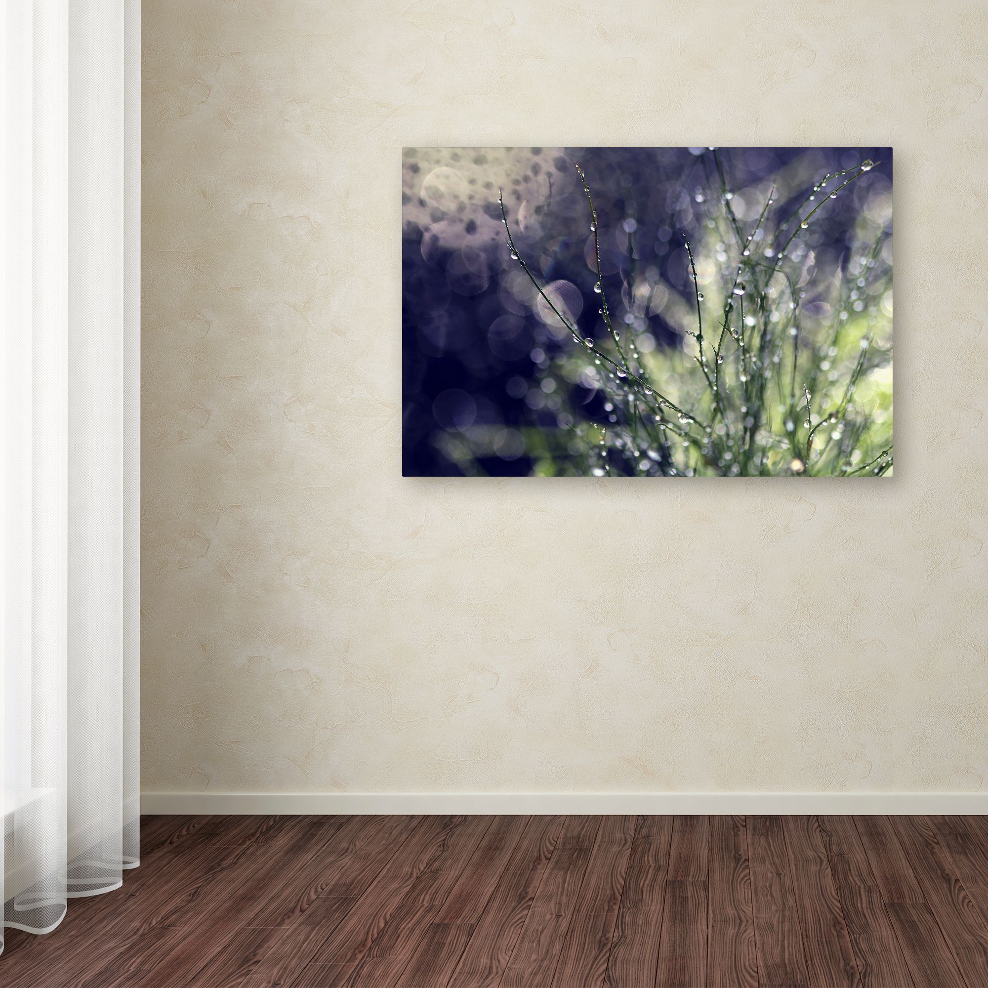Trademark Fine Art "Secrets of Nature" Canvas Art by Beata Czyzowska Young