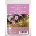 thumbnail image 1 of ScentSationals, Scented Wax Cubes - Berry Blossom Breeze, 1 of 6