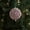 Pink-A, variant on Deeceymbur Foam Christmas Ball Pink Ornament Single Christmas Tree Decoration Home Decor Party Supplies