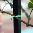 thumbnail image 4 of sweethay Accesorios de amarre retorcido para jardinería, Cables fijos universales para plantas, cables para atar plantas DIY, accesorio para cepillado de Jardín y Patio 50 metros sweethay TO005251-01, 4 of 6