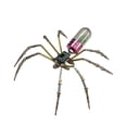 thumbnail image 2 of Kit de manualidades con modelo de araña mecánica, decoración novedosa de escena, adorno de escritorio, decoración de araña de metal, montaje DIY para Rojo, 2 of 9