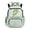Green Axolotl, variant on Yspwyqan Strawberry Axolotl School Backpack for Kids Teens, 17 Inch 600D Polyester Lightweight Bookbag Fits 15.6 Laptop, Multi-Pocket Pink Blue Gradient Bags for Elementary Middle School