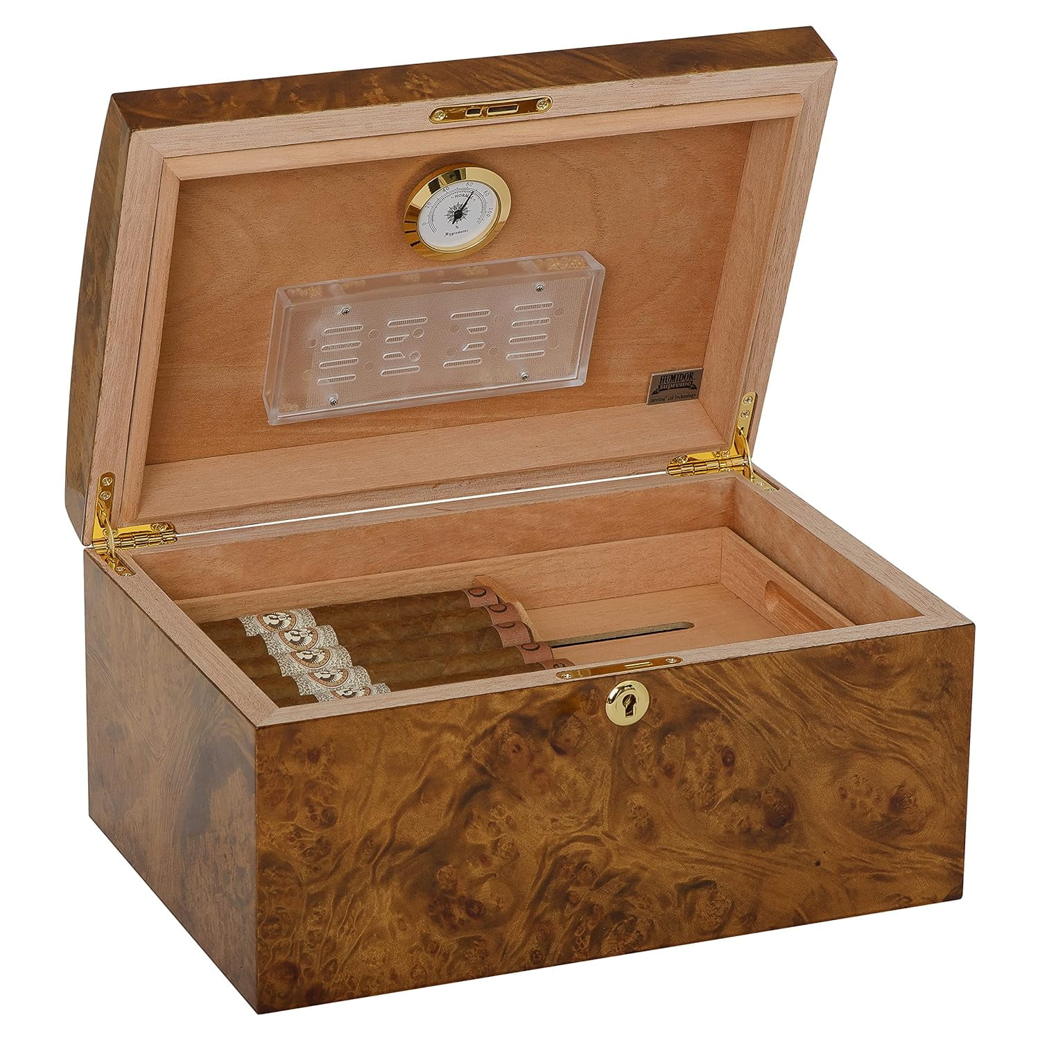 Humidor Supreme Arcos Desktop Cigar Storage Rustic Red Burl Wood, Holds 40-70 Cigars