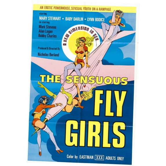 Sensuous Fly Girls The Movie Poster 11inx17in Wall Art 11x17 poster