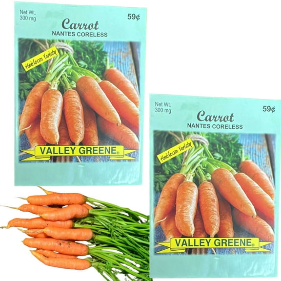 Valley Greene 300mg Carrot Nantes Coreless Seeds : 2CT