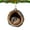 (Pangolin), variant on PEXIOAN Christmas Tree Party Animal Ornament Pendant, Forest Christmas Animal Decorations, 2D Pattern Acrylic Decorative Gift.(Pangolin)