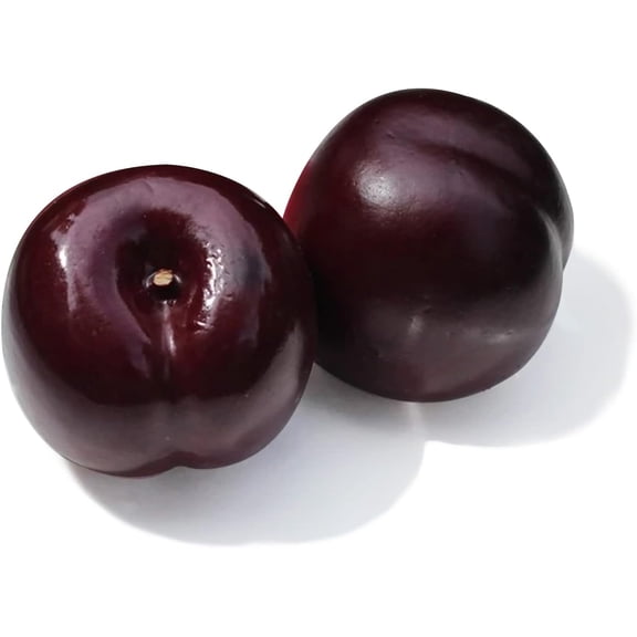 9pcs Artificial Lifelike Simulation Black Plum Fake Fruits Photography Props Model