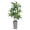 Dark Gray, variant on 5 Foot Tall Artificial Dracaena Plant, Realistic Indoor Potted Tropical Floor Tree for Office Living Room Bedroom Corner Decor Indoor Outdoor