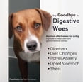 thumbnail image 3 of Flora-Pectin Oral Paste for Dogs & Cats, Digestive Support, Chicken Flavor, 15 CC, 3 of 10