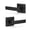 2-Half Dummy(One side, Screw inside), variant on 2 Pack Modern DuLever Door Handle Keyless Interior Dandle Set For Closet Or Doors Matte Black (only Single Sidee)