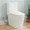 White, variant on 1.1/1.28 GPF Dual-Flush Elongated One-Piece Toilet in Black, Water Sense Certified, Comfort Chair Height with Antimicrobial Glazed Surface (Seat Included)
