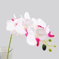 thumbnail image 1 of 2 Branches Orchid Artificial Flower Orchid Artificial Flower; 2 7-Head Fabric Simulation Flower Home Wedding Decoration, 1 of 7