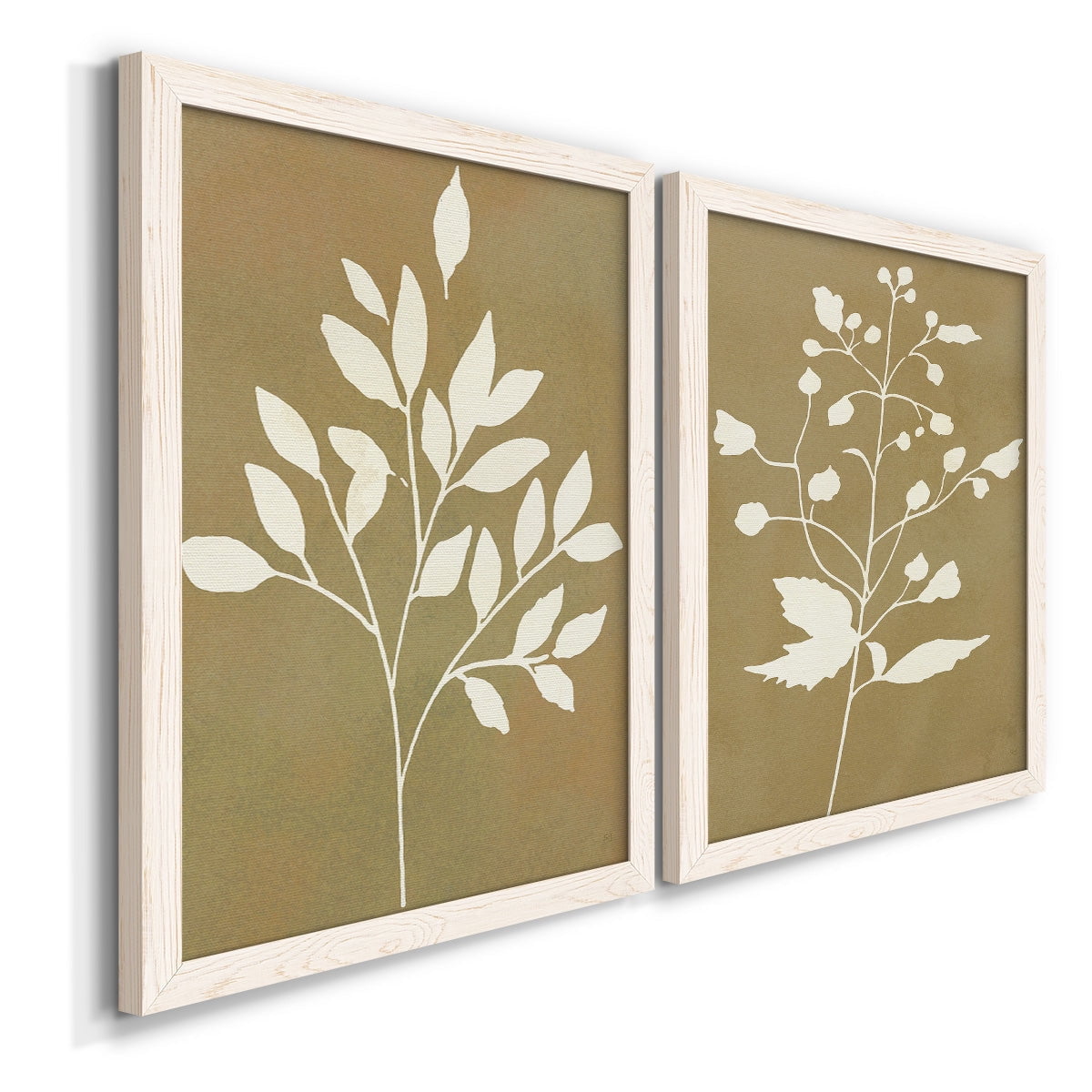 Honey Botanical I - Premium Framed Canvas 2 Piece Set - Ready to Hang