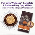 thumbnail image 2 of The Wellness Pet 101789 5.5 oz Bowl Boosters Hearty Chicken & Pumpkin Recipe in Savory Bone Broth Dog Food Toppers - Pack of 12, 2 of 4