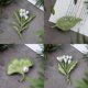 thumbnail image 3 of Broche de Hoja Unisex CHAO Clips de Cristal para Bufanda Joyería de Aleación de Metal 1 ud, 3 of 4