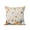 Brown, variant on Thanksgiving Outdoor Throw Pillow with Insert, 16"x16" Orange White Pumpkins Wooden Crates Vintage Lanterns Waterproof Decorative Square Patio Pillows for Outside Furniture, Sofa, Porch, Garden