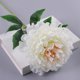 thumbnail image 1 of Peonía simulada, peonía grande individual, flor falsa, decoración del hogar, flor falsa, 1 of 8