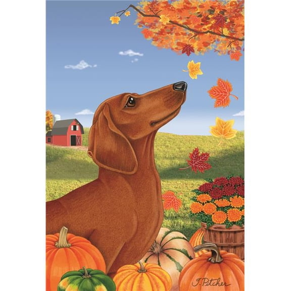 Best of Breed TP67039 Dachshund Red Autumn Leaves House Flag
