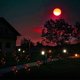 thumbnail image 4 of Luces Solares Con 8 Flores Rosas, Luces Para Exteriores, Impermeables, Con Energía Solar, Luces De Jardín, Decoración De Paisaje Para Jardín, Patio 2 Uds. sonducket HA035549-00, 4 of 6