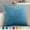 Lake Blue, variant on Djiypn Velvet Throw Pillow 18x18 Inch, 1 Pack Super Soft Decorative Square Cushion Modern Luxury Home Decor for Sofa, Couch, Bed, Chair, Black