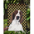 thumbnail image 3 of Carolines Treasures SC9167-FLAG-PARENT Welsh Springer Spaniel Candy Corn Halloween Portrait Flag  multicolor, 3 of 3
