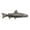 Antique Pewter, variant on Bull Trout Pin, F024, Pewter, 2”, Fish Lapel Pin, Hat, Pins, Brooch, Brooches, Jewelry, Gift, 100% Handmade in the USA, 200 Fish Designs Available