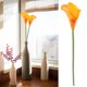 thumbnail image 4 of 10 piezas de flores artificiales de lirio de cala flores artificiales para la decoración del hogar de la boda (naranja), 4 of 8