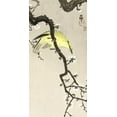 thumbnail image 2 of Koson, Ohara 18x32 White Modern Wood Framed Museum Art Print Titled - Chinese oriole on plum blossom branch, 2 of 4