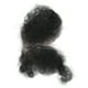 thumbnail image 5 of Vello púbico falso,Velo púbico falso suave Mujeres Cabello privado falso Vello púbico falso para muñeca Valor inmejorable, 5 of 8