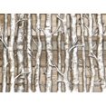 thumbnail image 2 of Gaynor, Janice 24x19 Gold Ornate Wood Framed with Double Matting Museum Art Print Titled - Light Birch Forest, 2 of 4