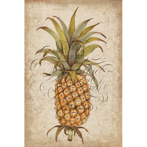 Marmont Hill ''Pineapple Study II'' Painting Print on Wrapped Canvas