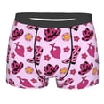 thumbnail image 3 of Haiem Retro Cowgirl Men's Boxer Briefs, Every Day Comfort Stretch Cotton Moisture-Wicking Underwear-Medium, 3 of 8