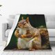 thumbnail image 1 of Balery Squirrels Eating Peanuts On The Tree Manta de Felpa Suave y Acogedora – Cobija de Franela Aterciopelada para Cama, Lavable y Cálida para Sofá, Mascotas, Transpirable-50"x40", 1 of 7