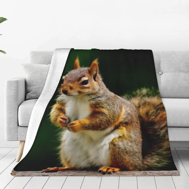 Balery Squirrels Eating Peanuts On The Tree Manta de Felpa Suave y Acogedora – Cobija de Franela Aterciopelada para Cama, Lavable y Cálida para Sofá, Mascotas, Transpirable-50"x40"