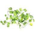 thumbnail image 3 of 2M Long Artificial Plants Green Ivy Leaves Artificial Grape Vine Fake Parthenocissus Foliage Leaves, 3 of 5