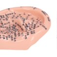 thumbnail image 4 of 6.7in Ear Acupuncture Model Silicone Engraving Ear Massage Acupuncture Model for Home Laboratory, 4 of 5