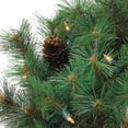 thumbnail image 4 of Northlight 24" Prelit Royal Oregon Pine Artificial Christmas Wreath - Clear Lights, 4 of 6