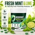 thumbnail image 4 of Rodent Repellent Balls, Natural Mint & Lime Scent Mouse Repellent for Rats & Mice, Plant-Based Deterrent, Safe for Pets & Family, Long-Lasting for Indoor/Outdoor, Home, Attic, Pantry,30 Pcs, 4 of 10