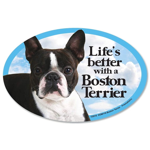 Boston Terrier Oval Dog Magnet for Cars (and fridges too!)