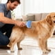 thumbnail image 4 of Peine para eliminar el pelo en forma de V para gatos y perros Peine para eliminar el pelo en forma de V Cepillo para eliminar el pelo largo y corto Cepillo para eliminar el pelo, 4 of 5