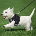 thumbnail image 2 of 1 PCS Dog Harness For Small Medium Large Dogs No Pull Puppy Harness And Leash Set Dog Harness For Walking Running Training Small Dog Harness Medium Dog Harness Cat Steps Cat Steps for Older Cats Cat, 2 of 9