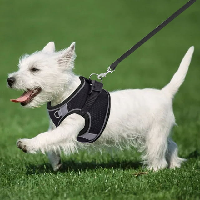 Riforla 1 PCS Dog Harness for Small Medium Large Dogs No Pull Puppy Harness and Leash Set Dog Harness for Walking Running Training Small Dog Harness Medium Dog Harness Chest Strap I L