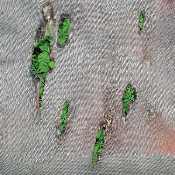 Koreless - Agor - Music & Performance - CD