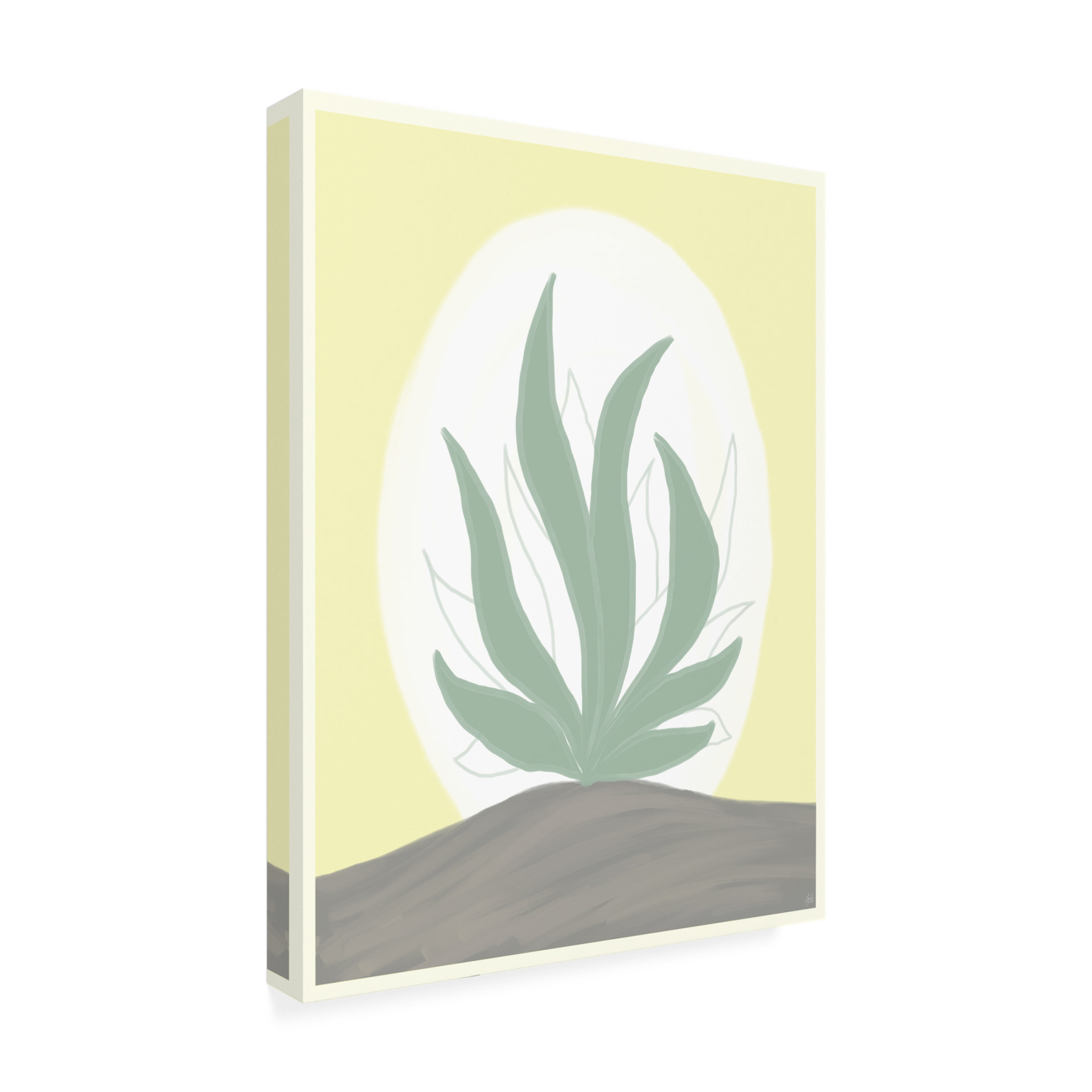 Canvas Wall Art - Line and Brush 'Sun Fire Aloe' Wall Art for Living Room, Bedroom, or Office Décor by Trademark Fine Art - 35 x 47 Inches