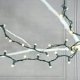 thumbnail image 3 of Electric String Lights with Mini Plastic Globes, 3 of 11