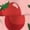Tomatoes1, variant on Xecao Tomatoes print Swimsuit for women, Summer-ready, sporty style.Quick-dry fabric. Many sizes & colors.